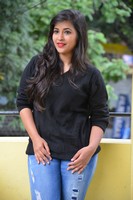 Komali Latest Gallery